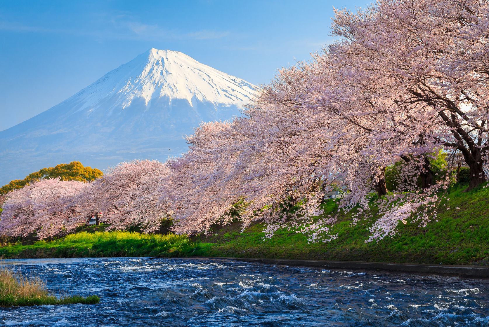 Vé máy bay giá rẻ đi Tokyo